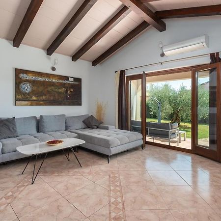 Novigrad Istria Villa Lucas מראה חיצוני תמונה